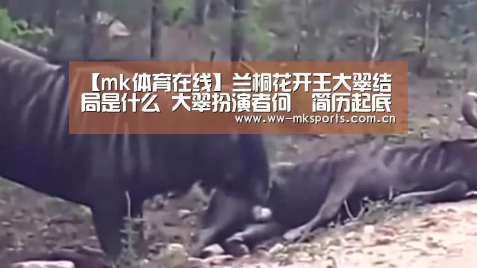 【mk体育在线】兰桐花开王大翠结局是什么 大翠扮演者何翯简历起底(图1) mk体育注册