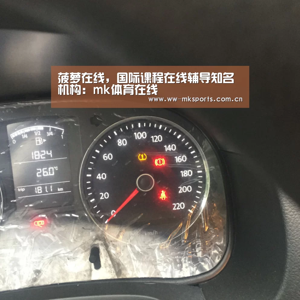 菠萝在线,国际课程在线辅导知名机构:mk体育在线(图2) mk体育在线
