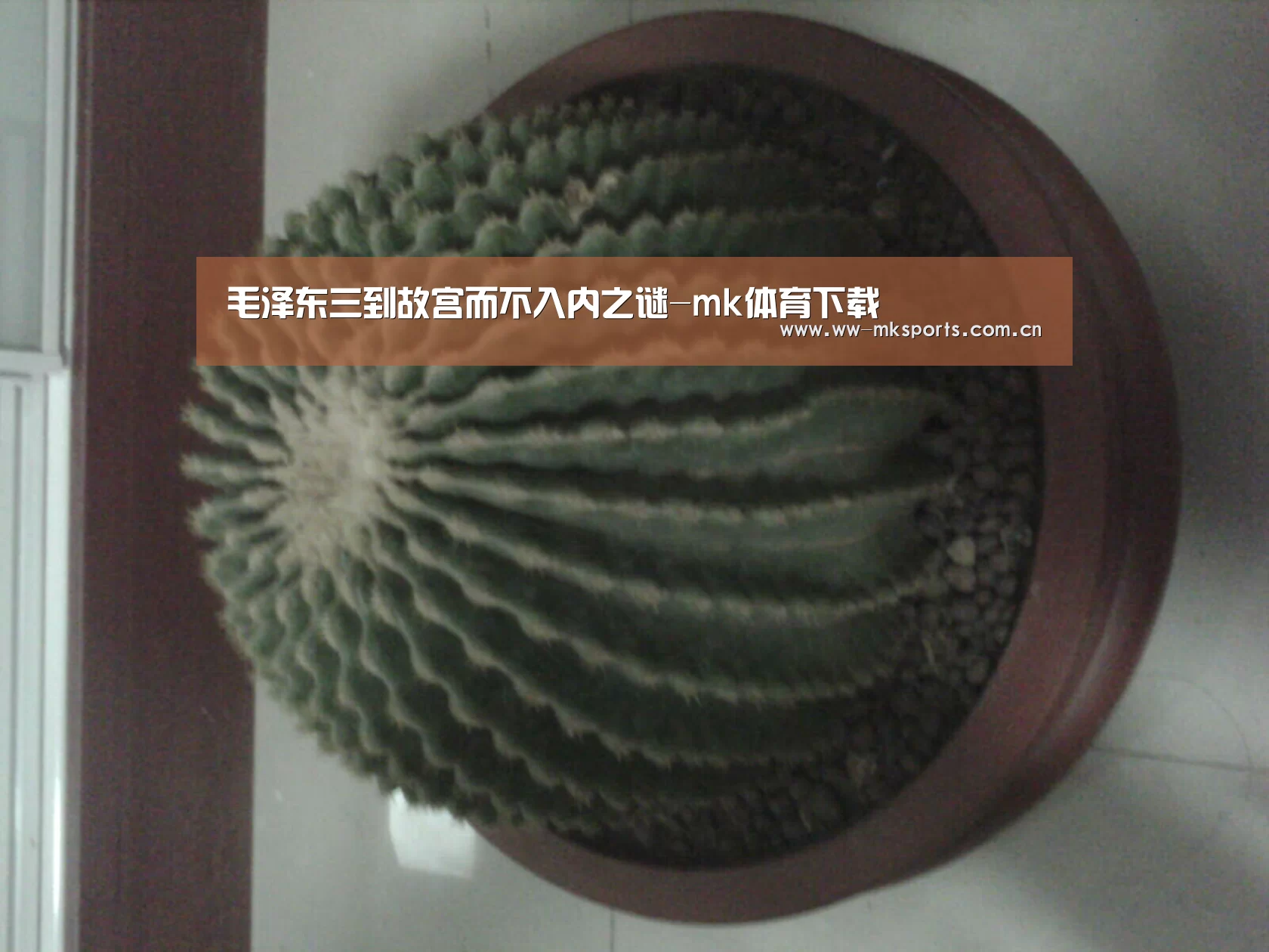 毛泽东三到故宫而不入内之谜-mk体育下载(图2) mk体育在线